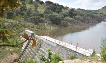 Presa de Santo Domingo