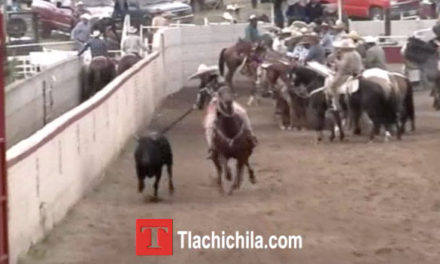 Primeras Coleadas, Coleadera Tlachichila 2014