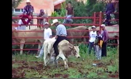 Jaripeo de 1997